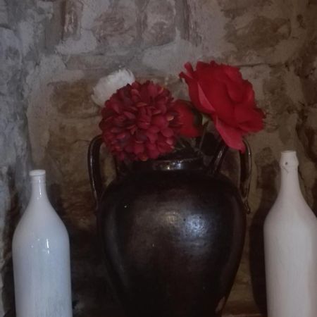 הוילה פייטרלצ'ינה Agriturismo La Vecchia Cascina Di Paolo & Belinda מראה חיצוני תמונה